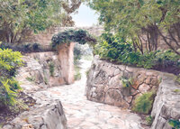 Komar Passage LJX7-051