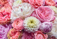 Komar Vibrant Spring 8-335