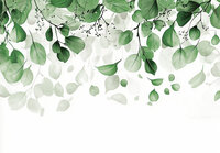 Planten Fotobehang 15534
