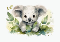 Koala Fotobehang 15220