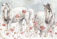 Paarden Fotobehang 14918