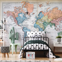 Wereldkaart Wall Mural 14622