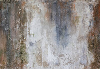 Concrete Photo Wall Mural 14589