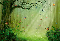 Magic Forest Wall Mural 14403
