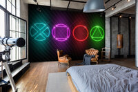 Gaming Wall Mural 14209