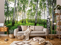 Berkenbos Wall Mural 14175