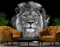 Lion Photo Wall Mural 13996P8