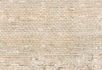 Stone Photo Wallpaper Mural 13994P8