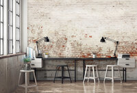 Stone Photo Wallpaper Mural 13993P8