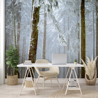 Mistig Bos Fotobehang 13919P8