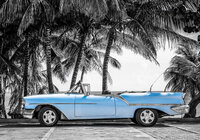 Palmtrees Oldtimer Photo Wall Mural 13336P8