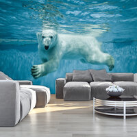IJsbeer Fotobehang 12621P8