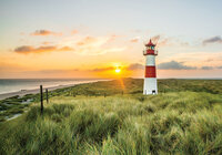 Vuurtoren Duinen Fotobehang 11678P8