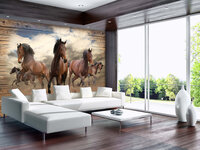 Paarden Fotobehang 10083P8