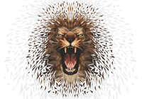 Lion Photo Wall Mural 11560P8