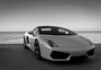 Photo Wall Mural Lamborghini 11393P8