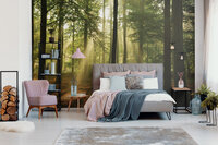 bos fotobehang zonneschijn