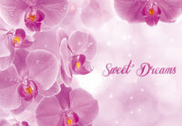 Flowers &amp; Plants Photo Wall Mural 778P8