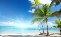 Landscape &amp; Nature Photo Wall Mural 735P8