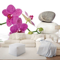 Flowers &amp; Plants Photo Wall Mural 652P8