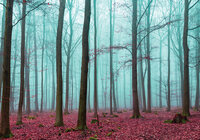 Trees &amp; Leaves Photo Wallpaper Mural 2657P8