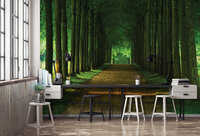Trees &amp; Leaves Photo Wallpaper Mural 2285P8