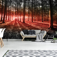 Trees &amp; Leaves Photo Wallpaper Mural 2227P8