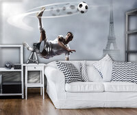 Soccer Photo Wallpaper Mural 2255P8