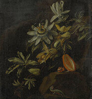 Dutch Photo Wallcoverings Painted Memories 8007