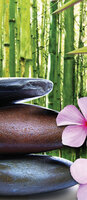 Buddha Door Mural Photo Wallpaper 1052VET