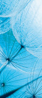 Abstract Art Door Mural Photo Wallpaper 586VET
