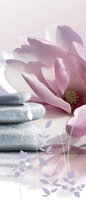 SPA Door Mural Photo Wallpaper 054VET