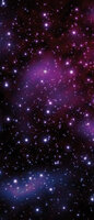 Cosmos Door Mural Photo Wallpaper 177VET