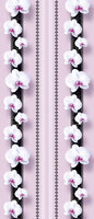Flowers Flower Floral Door Mural Photo Wallpaper 1411VET