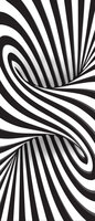 White and Black 3D Swirl Door Mural Photo Wallpaper 2258VET