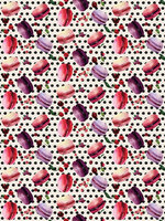 Macarons Cookies Photo Wall Mural 10871VEA