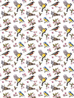 Little Birds and Floral Patterns Photo Wall Mural 10401VEA