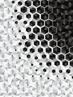 3D Hexagons  Photo Wall Mural 10685VEA