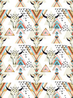 Skulls and Triangles Photo Wall Mural 10727VEA