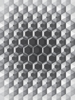 3D Hexagons Photo Wall Mural 10760VEA