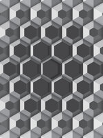 3D Hexagons Photo Wall Mural 10761VEA