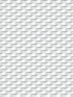 Stripes Photo Wall Mural 10976VEA