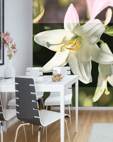 Flowers Photo Wall Mural 20406VEA