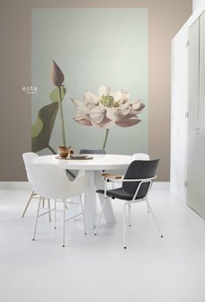 Esta XL2 - Photowalls | Blush 158890 (FREE Glue Included!)