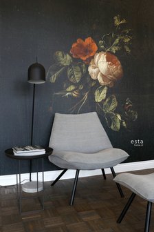 Esta XL2 - Photowalls | Blush 158884 (FREE Glue Included!)