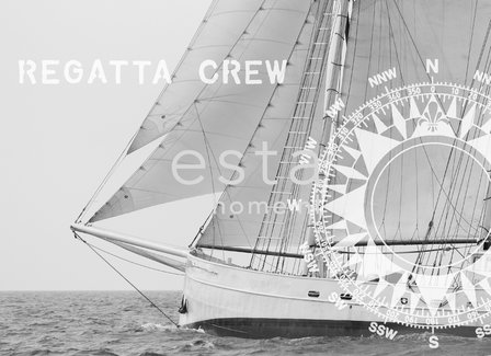 Esta Regatta Crew 156430 (FREE Glue Included!)