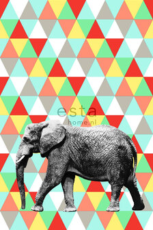 Esta Walls for Kids XL2 | Everybody Bonjour 158707 (FREE Glue Included!)