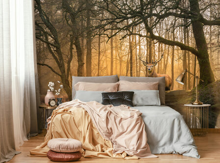 Dear Photo Wall Mural 14520