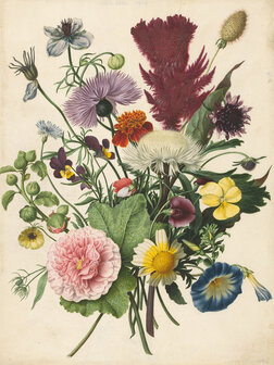 Rijksmuseum Flowers 1680 RM31 (FREE Glue Included!)