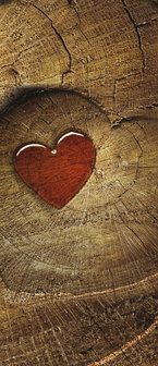 Red Heart on Wood Door Mural Photo Wallpaper 135VET